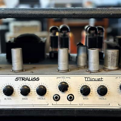 Strauss Minuet Valve PA Head image 6