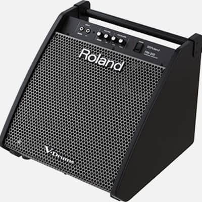Roland PM-200 - Personal Drum Monitor Speaker - 180W (PM-200) image 2