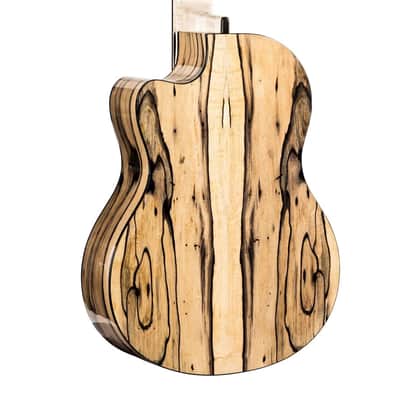 Turkowiak 5-String Acoustic Bass Guitar Double-Top Small-Body Bild 6