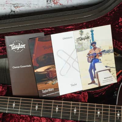 Immagine Taylor 324ce ,Mahogany/Mahogany,SEB Top,LH - 12
