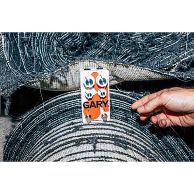 Immagine EarthQuaker Devices Gary Product Family - 14