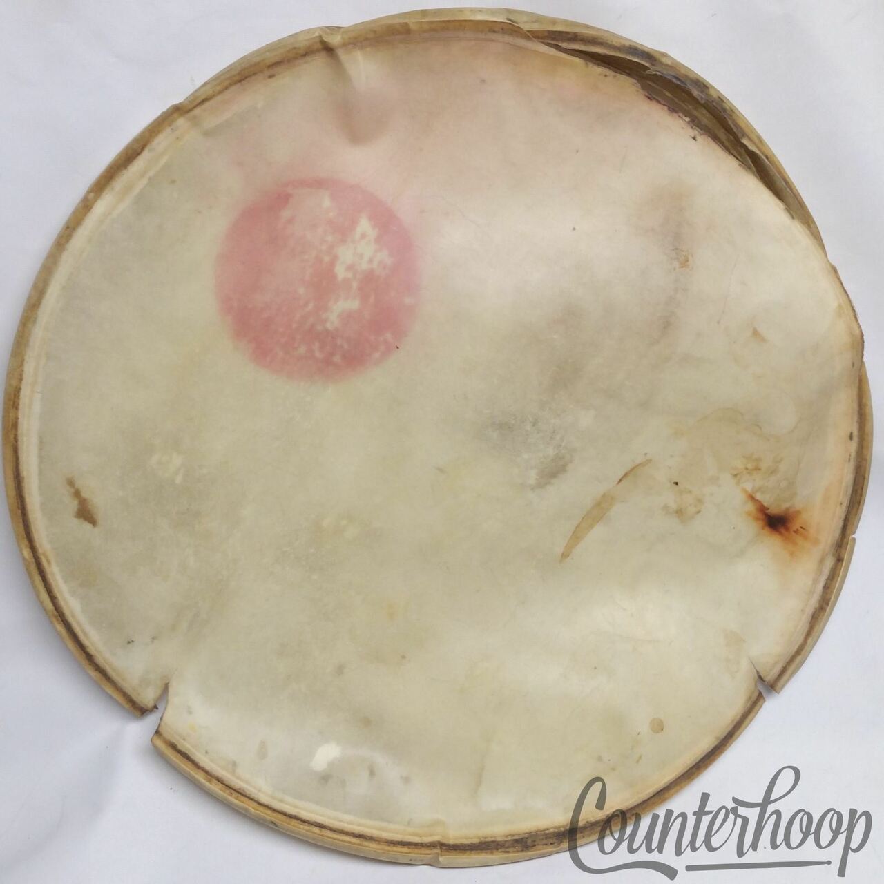 Leedy 24" Calf Skin Bass Drum Head Calfskin 20" Retuck Project Vintage 30s USA* — main photograph