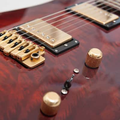 Brian Moore C55 USA Custom image 4