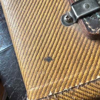 Fender Princeton 1954 - Tweed image 15
