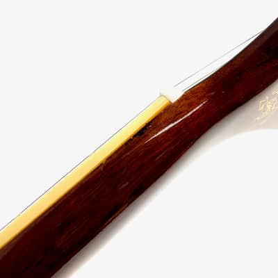 Epiphone Les Paul Standard Slash Signature 2021 November Burst image 14