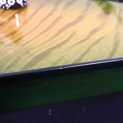 Washburn Custom Dime 333 Dime Slime Electric Guitar image 20