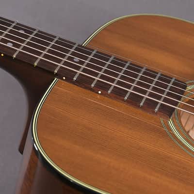 Martin D-19 1980 - Excellent & All-Original Condition! image 4
