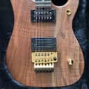 Washburn USA Nuno Bettencourt N4 Walnut w/Case