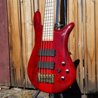 Spector Euro 5 LX Maple Fingerboard – Black Cherry Gloss 5-String Electric Bass Guitar image 9
