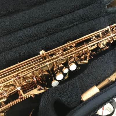 Antigua Winds ProOne Professional Eb Alto Saxophone - Lacquer image 3