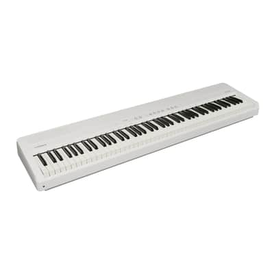 Roland FP-40 88 Key Portable Stereo Digital Piano with PHA-4 Keyboard (White) image 2