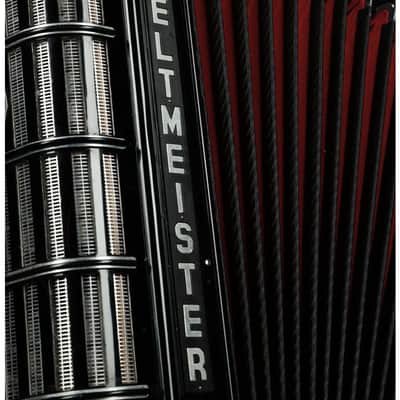 Weltmeister Cantus V 120 Bass Cassotto 5 chörig overhauled used image 5