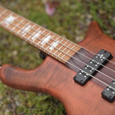 Spector Euro 4 RST - Sienna Stain Matte image 10