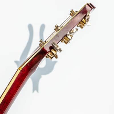 Daion The Year Series '81 Caribou - Wine Red (WR) - Electric Acoustic Six String image 14