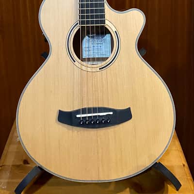 Tanglewood  DBT-TCE-BW Discovery Travel Electro-Acoustic image 1