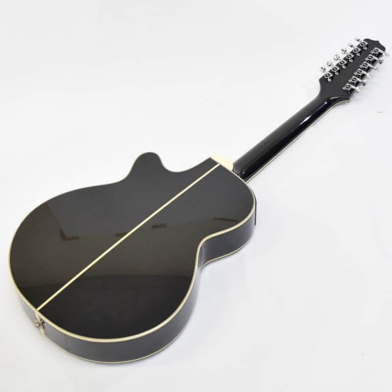 Takamine NPT-110-12 / 12strings | Reverb