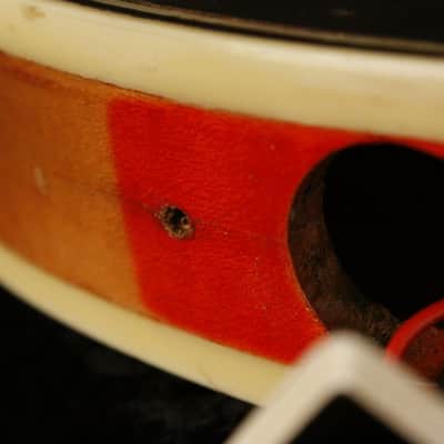 Immagine Ampeg/Burns TR2 solid carved top/back 1963-64 Sunburst - 24