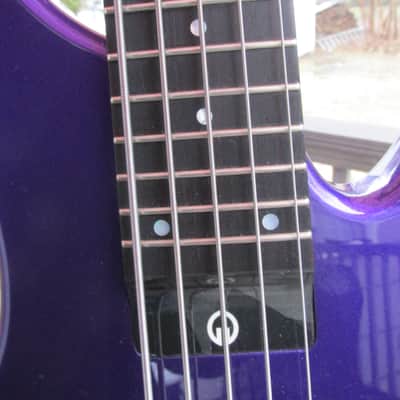 G. Gould GGi5 2016 Purple Metalflake 5 string bass image 5