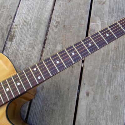 Harptone S-6NC Sultan guitar Sam Koontz vintage 1960s 1970s Vintage arched back cutaway image 4