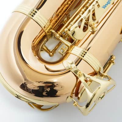 Yanagisawa A-WO2 [AWO2] Professional Alto Saxophone image 20