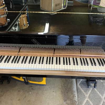 Yamaha C-6/ MPC6 2008 - Black image 8