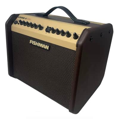 Fishman Loudbox Mini 60 Watt PRO LBX 500 image 5