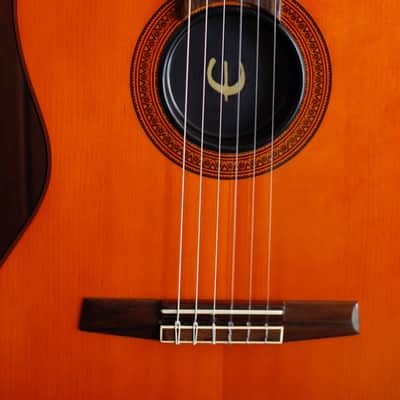 Epiphone Chet Atkins Acoustic-Electric Nylon Guitar Pre-Owned image 3