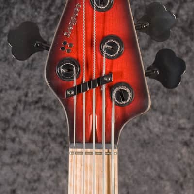 Sandberg Panther TT 5-string RB BM image 5
