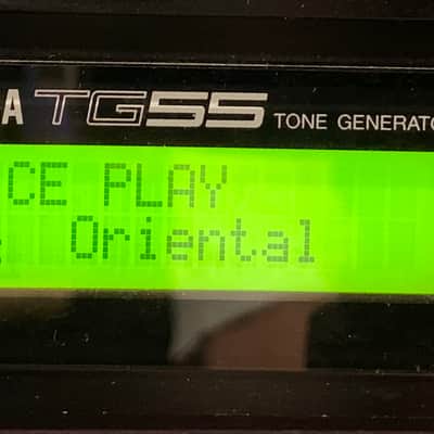 Yamaha TG55 MIDI Synth w/Shinoda Card