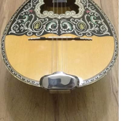 Greek bouzouki &hardcase & pickup & 300 backing track with pdf scores 8 string image 1