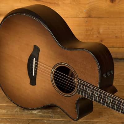 Taylor 900 Series | Builder's Edition 914ce - Wild Honey Burst 2024 image 5