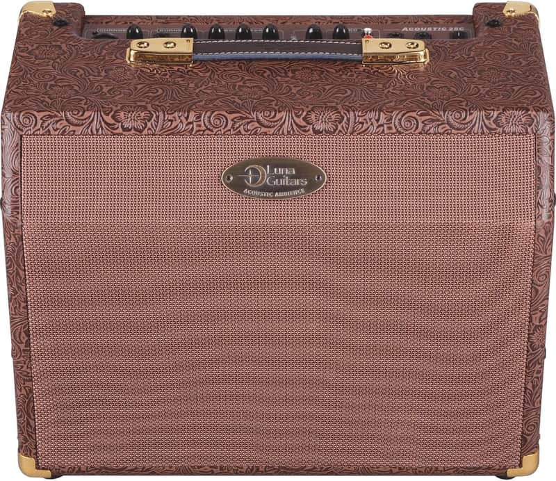 Luna Acoustic Ambiance 25 Watt Guitar Amp AA 25 image 1