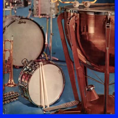 Ludwig Concert Tambourine 10” Double Row Jingles 1960’s (Sound File) image 15