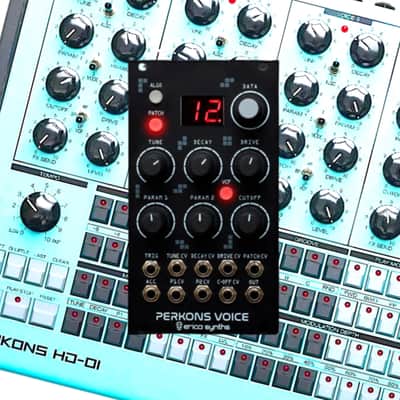 Erica Synths Perkons Voice image 2