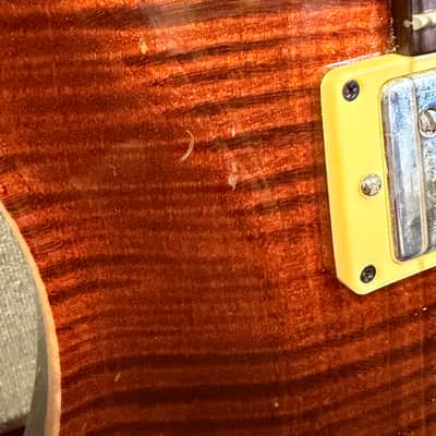 Immagine PRS Custom 22 Stoptail 10-Top 2002 - 2014 - Tortoise Shell - 9