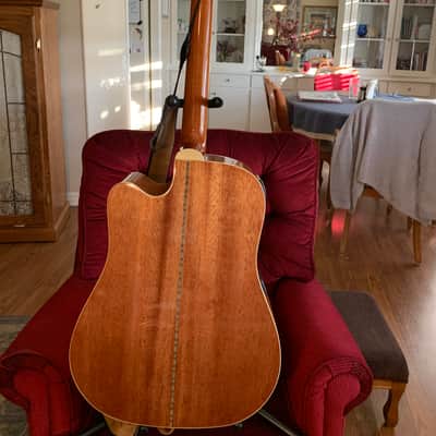 Zager Zad 50 CE 2010 image 1