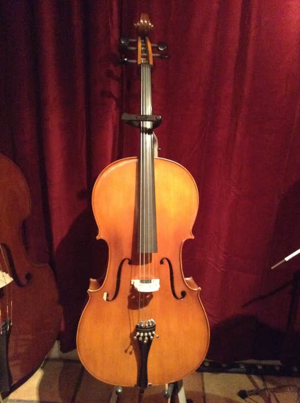 5 Strings Cello Electric 2014 Natural French violin finish image 1