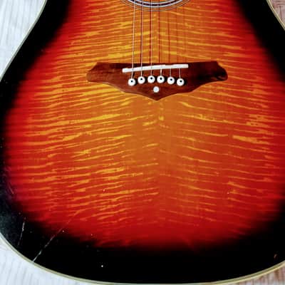 Jerzey Acoustic Dreadnought CW w/ pickups image 1