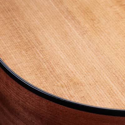Taylor 150ce Dreadnought 12-string Acoustic/Electric Guitar image 6