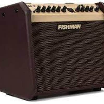 Fishman Loudbox Mini Amp image 1