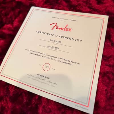 Fender American Professional Stratocaster image 25