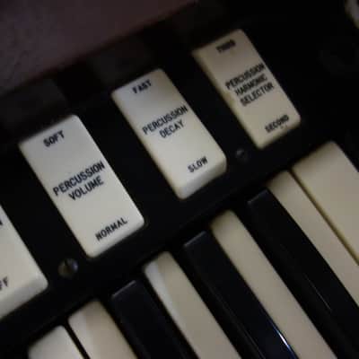 Hammond C3 split/organ (no Leslie) image 6