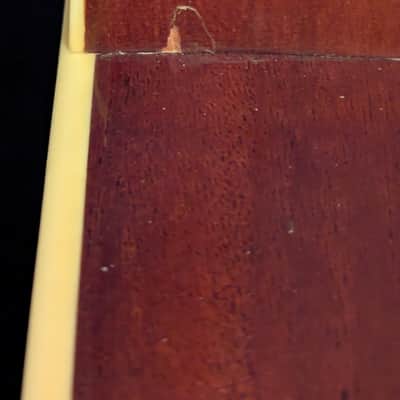 1982 Yamaha FG-250M Nippon Gakki Acoustic Guitar image 18