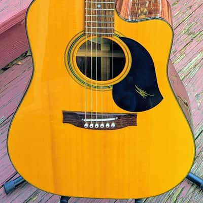 Maton TE1 Tommy Emmanuel "Artist" Signature *Reduced image 5
