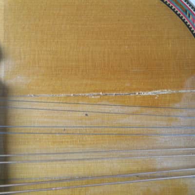 1920's Marcellus CJ Heppe & Son Inlayed Bowl Back Mandolin image 11