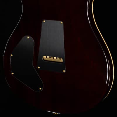 PRS Wood Library DGT Gold Top Brazilian (228) image 2