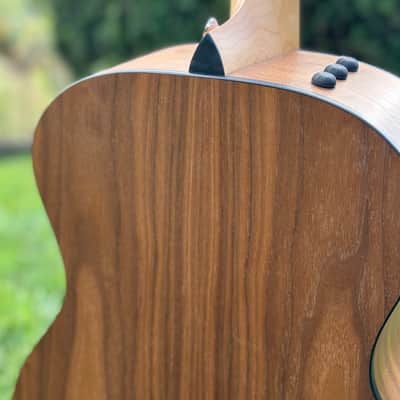 Taylor 114e Walnut with Maple Neck 2019 - Present - Natural image 5