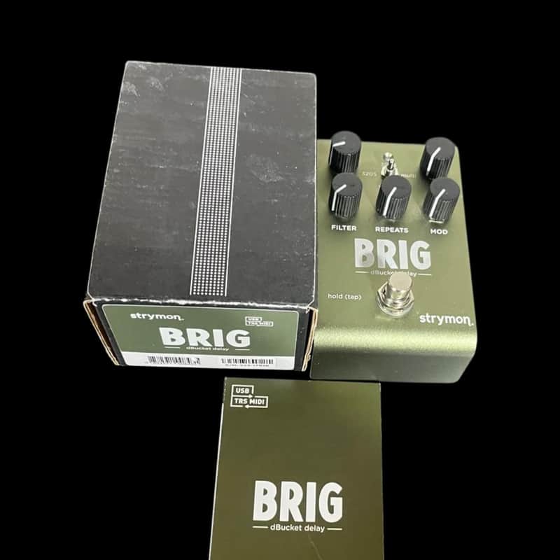 Strymon Brig dBucket Delay-x14511 image 1