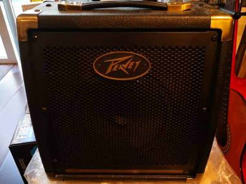 Peavey Ecoustic E20 image 1