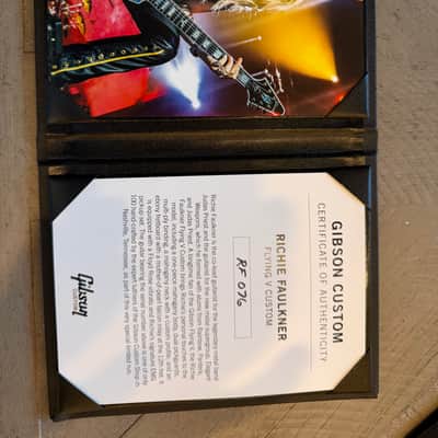 Gibson Custom Shop Richie Faulkner Signature Flying V Custom 2023 - 2024 - Pelham Blue image 17